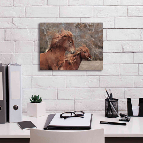 Image of 'Assateague Horses II' by Lori Deiter, Canvas Wall Art,16 x 12
