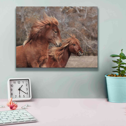 Image of 'Assateague Horses II' by Lori Deiter, Canvas Wall Art,16 x 12