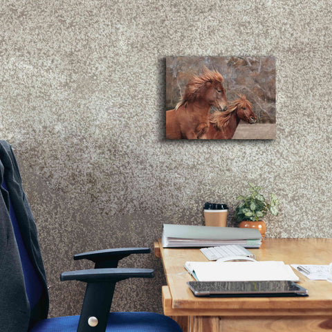 Image of 'Assateague Horses II' by Lori Deiter, Canvas Wall Art,16 x 12