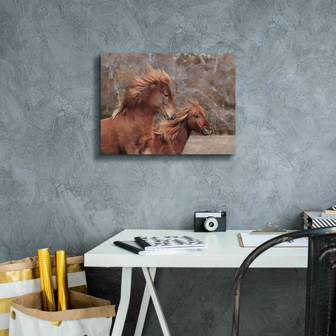 Image of 'Assateague Horses II' by Lori Deiter, Canvas Wall Art,16 x 12