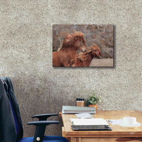 Image of 'Assateague Horses II' by Lori Deiter, Canvas Wall Art,24 x 20