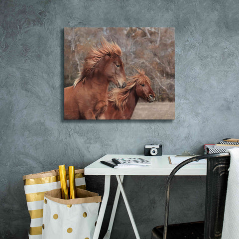 Image of 'Assateague Horses II' by Lori Deiter, Canvas Wall Art,24 x 20