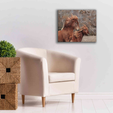 Image of 'Assateague Horses II' by Lori Deiter, Canvas Wall Art,24 x 20