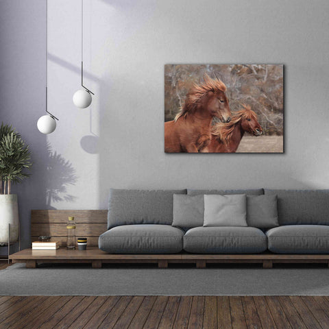 Image of 'Assateague Horses II' by Lori Deiter, Canvas Wall Art,54 x 40
