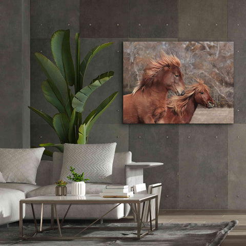 Image of 'Assateague Horses II' by Lori Deiter, Canvas Wall Art,54 x 40