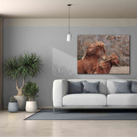 Image of 'Assateague Horses II' by Lori Deiter, Canvas Wall Art,54 x 40