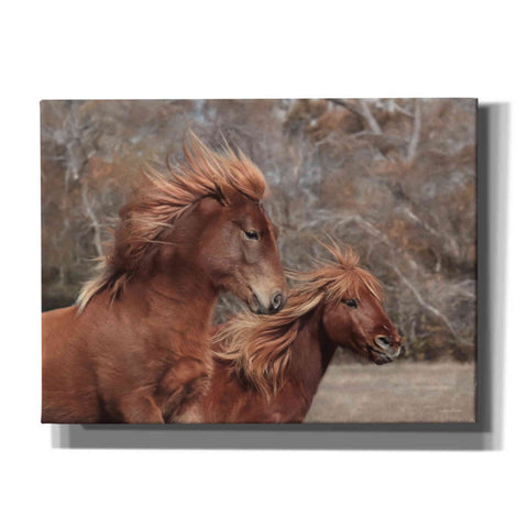 Image of 'Assateague Horses II' by Lori Deiter, Canvas Wall Art