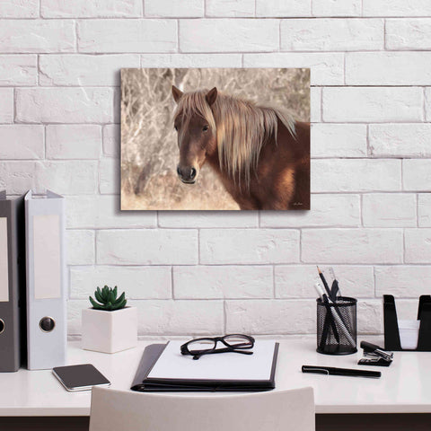 Image of 'Assateague Horse Portrait' by Lori Deiter, Canvas Wall Art,16 x 12