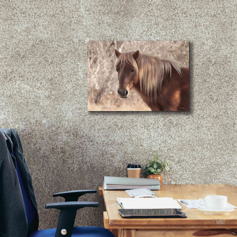 Image of 'Assateague Horse Portrait' by Lori Deiter, Canvas Wall Art,26 x 18