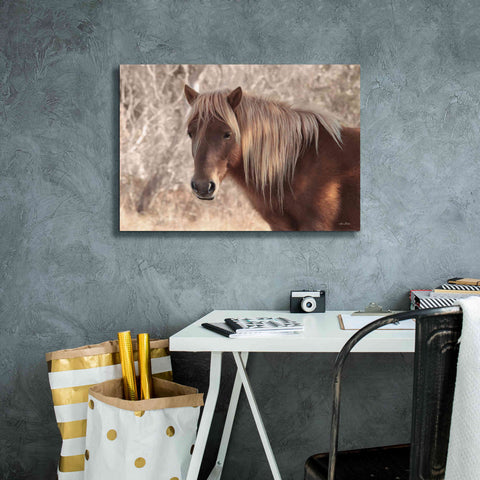 Image of 'Assateague Horse Portrait' by Lori Deiter, Canvas Wall Art,26 x 18