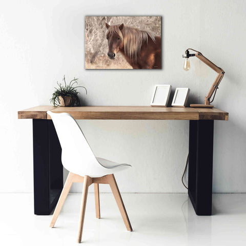 Image of 'Assateague Horse Portrait' by Lori Deiter, Canvas Wall Art,26 x 18