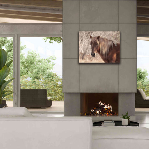 Image of 'Assateague Horse Portrait' by Lori Deiter, Canvas Wall Art,34 x 26