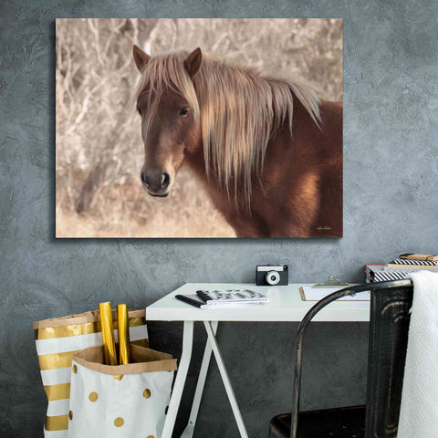 Image of 'Assateague Horse Portrait' by Lori Deiter, Canvas Wall Art,34 x 26