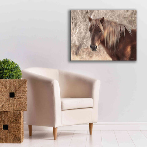Image of 'Assateague Horse Portrait' by Lori Deiter, Canvas Wall Art,34 x 26