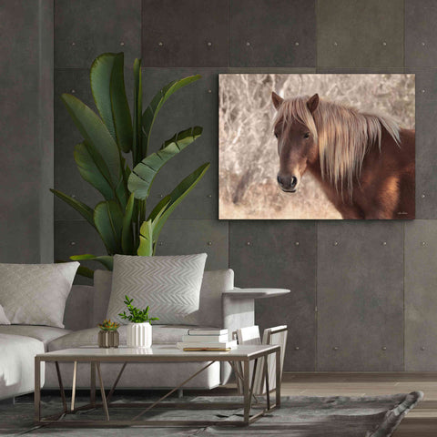 Image of 'Assateague Horse Portrait' by Lori Deiter, Canvas Wall Art,54 x 40