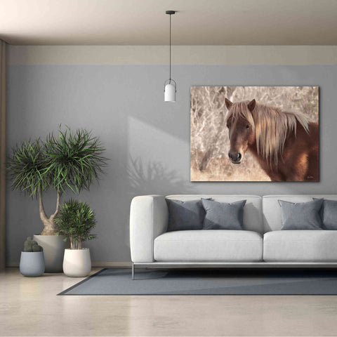 Image of 'Assateague Horse Portrait' by Lori Deiter, Canvas Wall Art,54 x 40