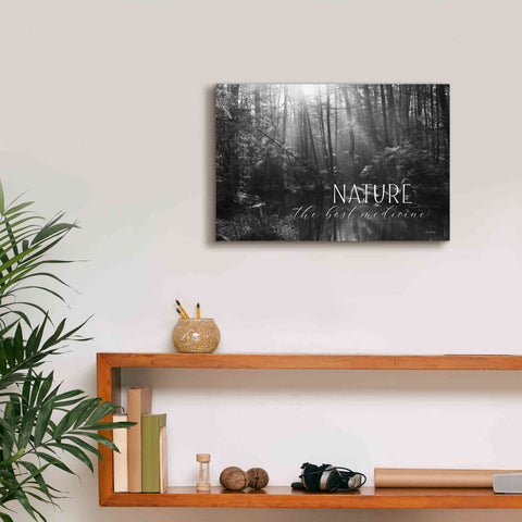 Image of 'Nature - The Best Medicine' by Lori Deiter, Canvas Wall Art,18 x 12