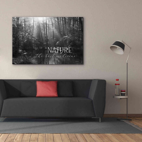 Image of 'Nature - The Best Medicine' by Lori Deiter, Canvas Wall Art,60 x 40