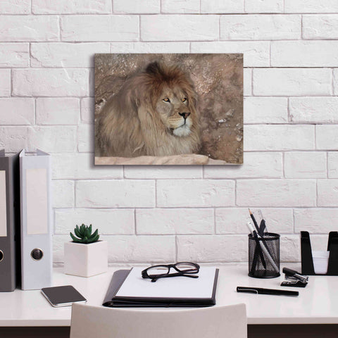 Image of 'Leo the Lion' by Lori Deiter, Canvas Wall Art,16 x 12