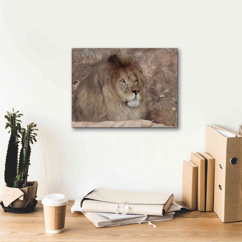 Image of 'Leo the Lion' by Lori Deiter, Canvas Wall Art,16 x 12
