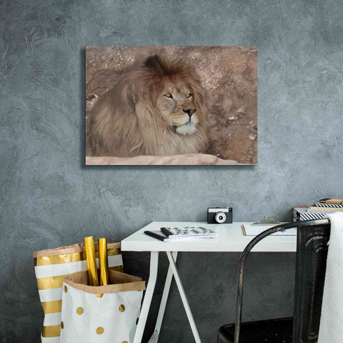 Image of 'Leo the Lion' by Lori Deiter, Canvas Wall Art,26 x 18