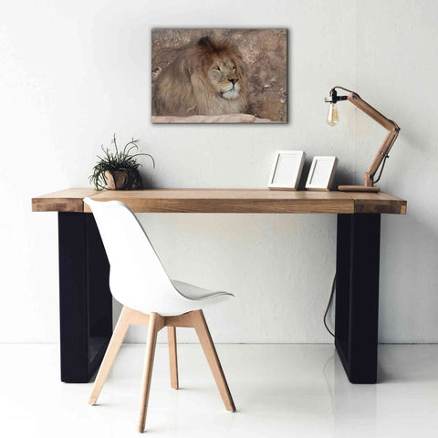 Image of 'Leo the Lion' by Lori Deiter, Canvas Wall Art,26 x 18