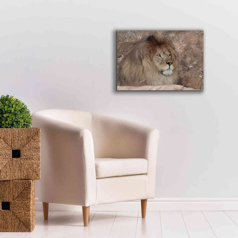 Image of 'Leo the Lion' by Lori Deiter, Canvas Wall Art,26 x 18