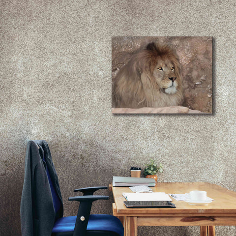 Image of 'Leo the Lion' by Lori Deiter, Canvas Wall Art,34 x 26