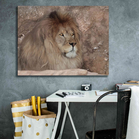 Image of 'Leo the Lion' by Lori Deiter, Canvas Wall Art,34 x 26