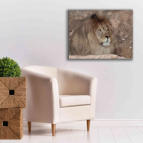 Image of 'Leo the Lion' by Lori Deiter, Canvas Wall Art,34 x 26