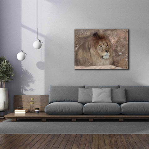 Image of 'Leo the Lion' by Lori Deiter, Canvas Wall Art,54 x 40