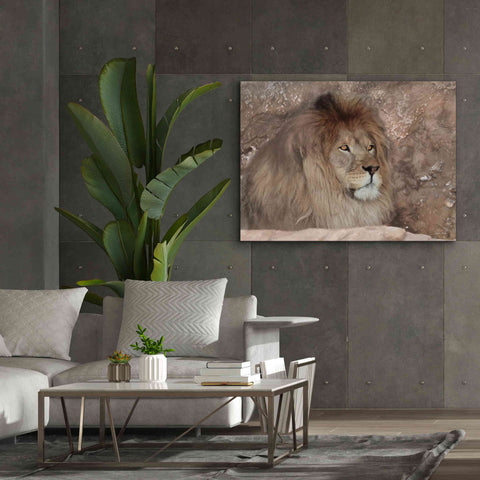 Image of 'Leo the Lion' by Lori Deiter, Canvas Wall Art,54 x 40