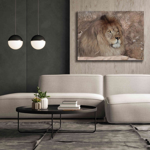 Image of 'Leo the Lion' by Lori Deiter, Canvas Wall Art,54 x 40