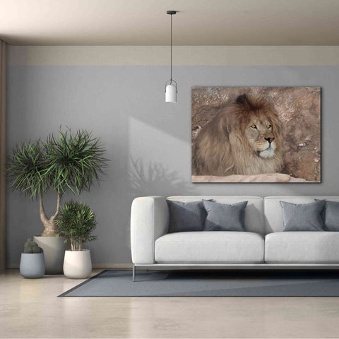 Image of 'Leo the Lion' by Lori Deiter, Canvas Wall Art,54 x 40