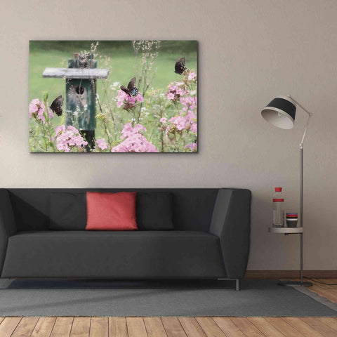 Image of 'Summer Fantasy' by Lori Deiter, Canvas Wall Art,60 x 40