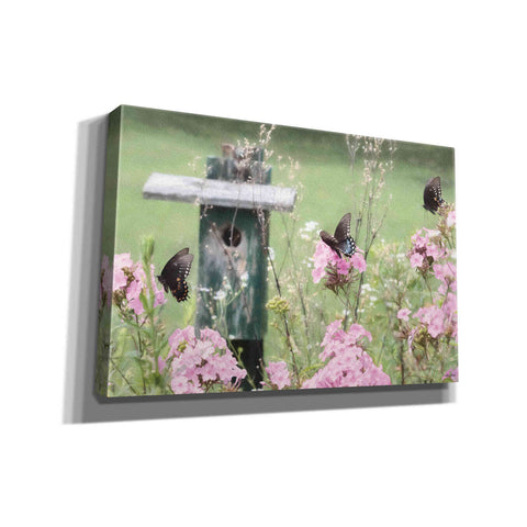 Image of 'Summer Fantasy' by Lori Deiter, Canvas Wall Art