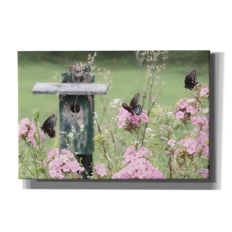 Image of 'Summer Fantasy' by Lori Deiter, Canvas Wall Art