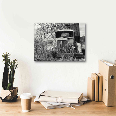 Image of 'Don't Leave Me Hanging' by Lori Deiter, Canvas Wall Art,16 x 12