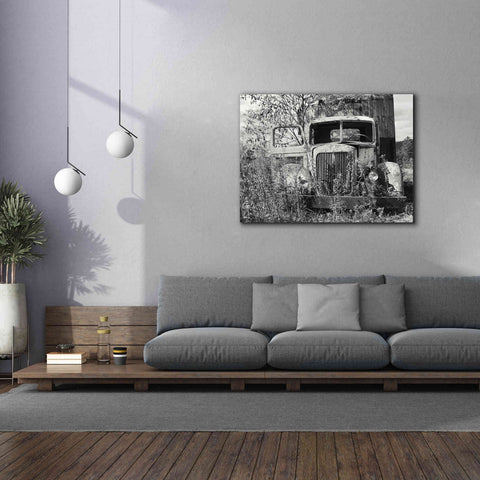 Image of 'Don't Leave Me Hanging' by Lori Deiter, Canvas Wall Art,54 x 40