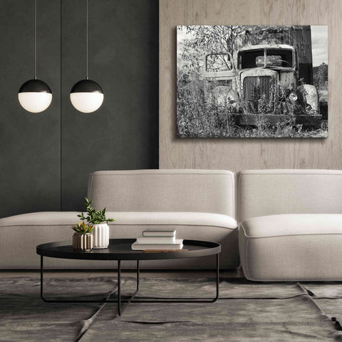 Image of 'Don't Leave Me Hanging' by Lori Deiter, Canvas Wall Art,54 x 40