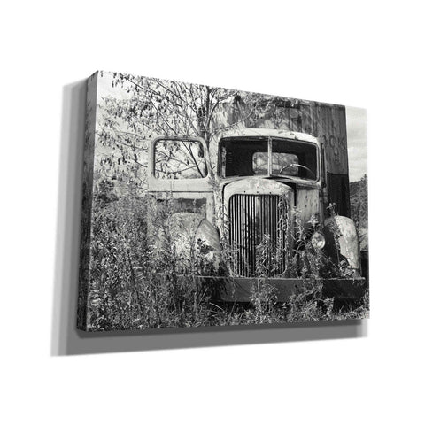 Image of 'Don't Leave Me Hanging' by Lori Deiter, Canvas Wall Art