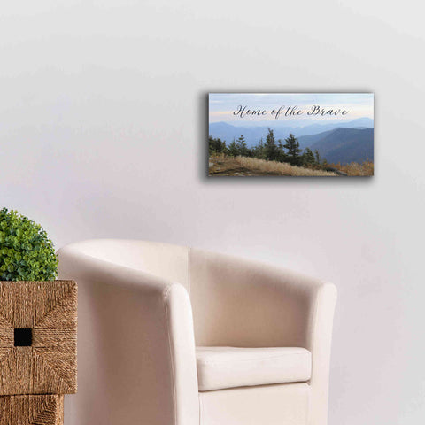 Image of 'Home of the Brave' by Lori Deiter, Canvas Wall Art,24 x 12