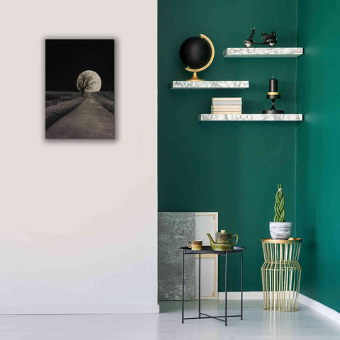 Image of 'Moonlit Country Road' by Lori Deiter, Canvas Wall Art,18 x 26