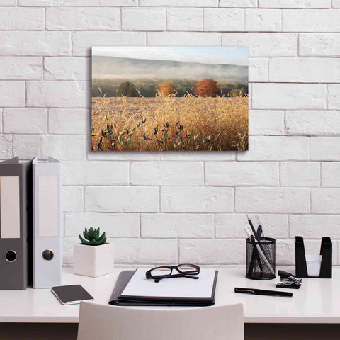 Image of 'Autumn Shades' by Lori Deiter, Canvas Wall Art,18 x 12