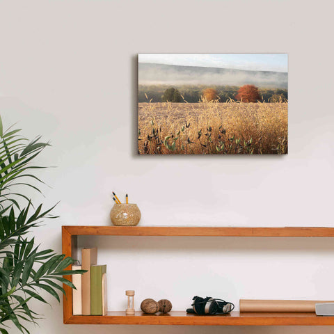 Image of 'Autumn Shades' by Lori Deiter, Canvas Wall Art,18 x 12