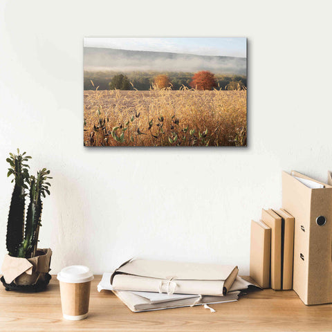 Image of 'Autumn Shades' by Lori Deiter, Canvas Wall Art,18 x 12