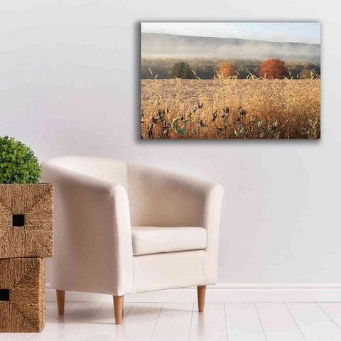 Image of 'Autumn Shades' by Lori Deiter, Canvas Wall Art,40 x 26