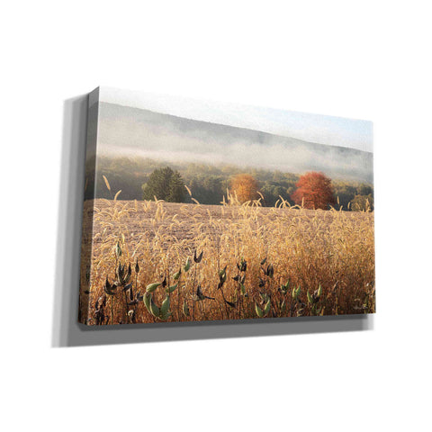 Image of 'Autumn Shades' by Lori Deiter, Canvas Wall Art