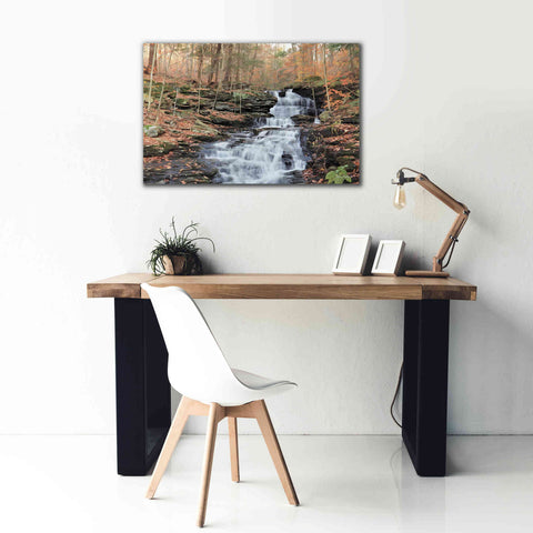 Image of 'Waterfall Steps at Pigeon Run' by Lori Deiter, Canvas Wall Art,40 x 26