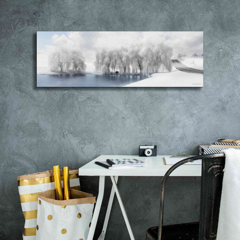 Image of 'Winter Willow' by Lori Deiter, Canvas Wall Art,36 x 12